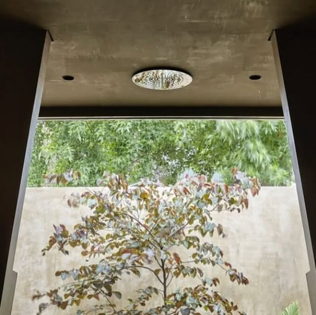 Earthen Hemp Render finish