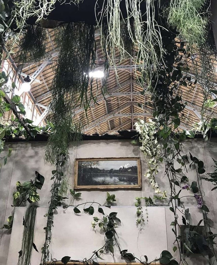 Abandoned… the plants reclaim