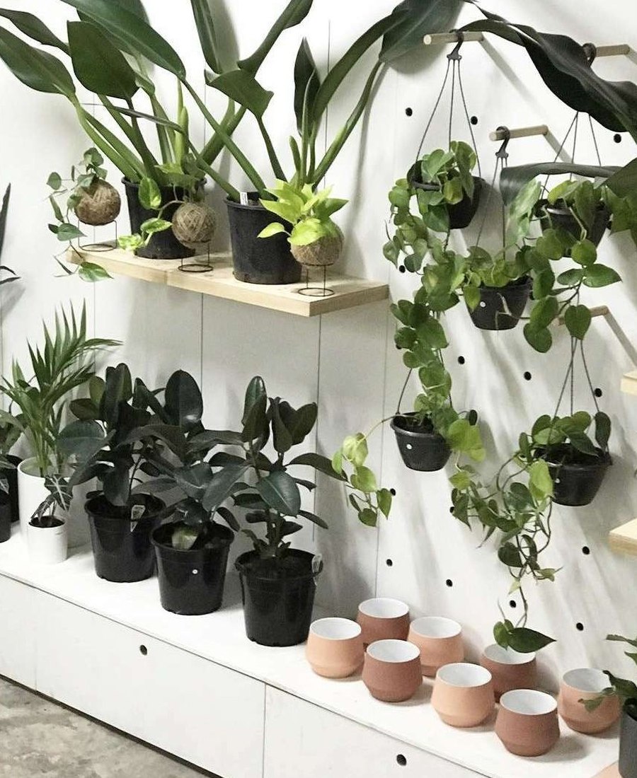 The Greenhouse