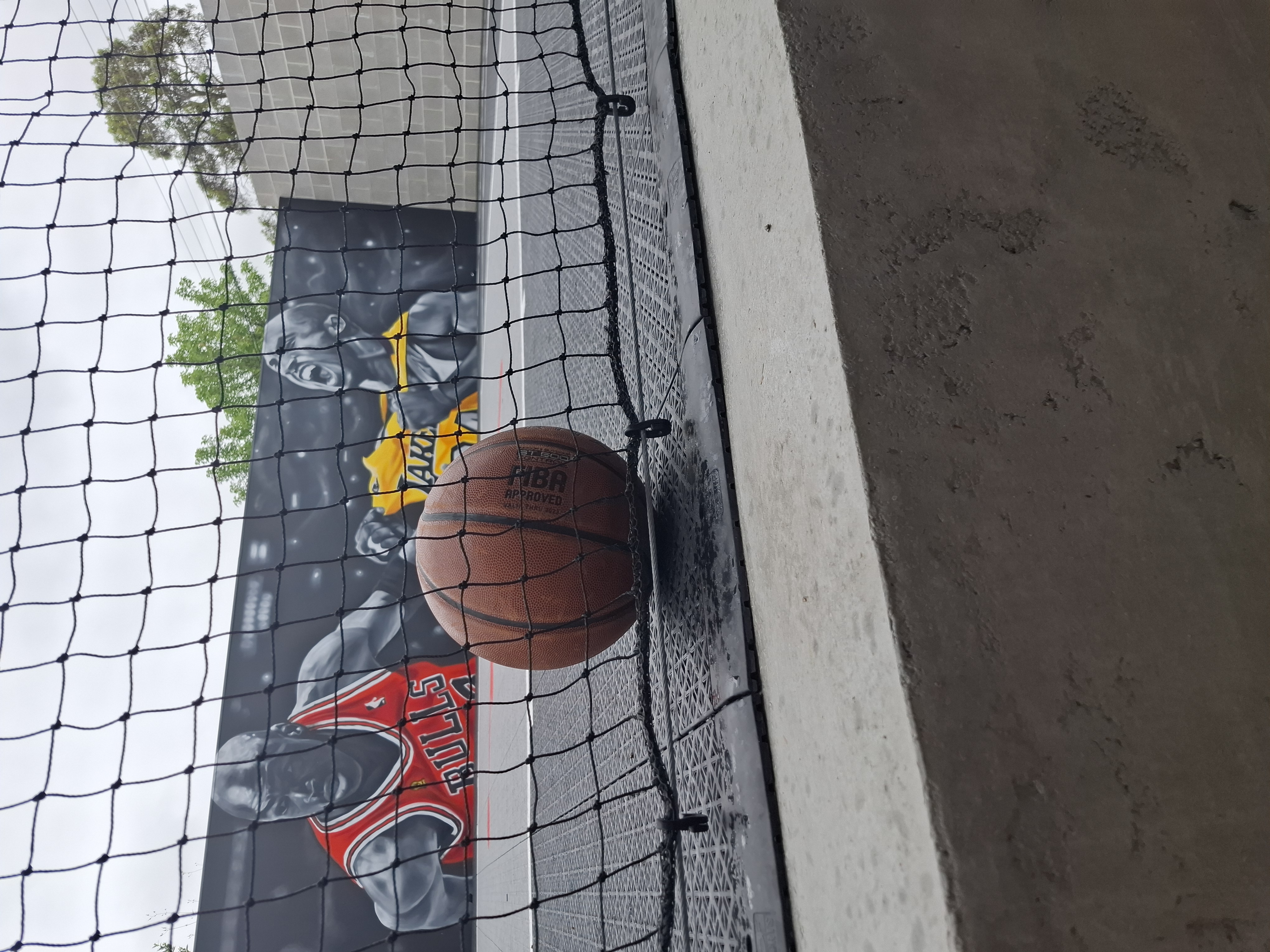 Exterior with Landscaping